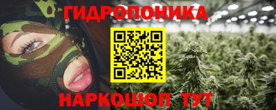 прущие крисы Балахна