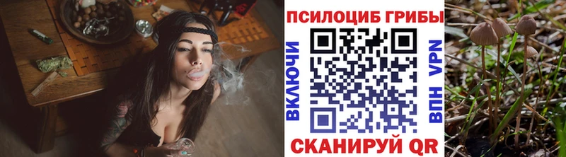 Псилоцибиновые грибы Psilocybine cubensis  купить наркотики цена  Волгоград 