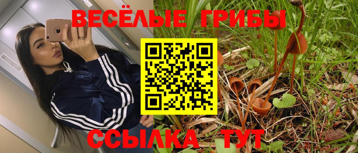 Волгоград  Галлюциногенные грибы MAGIC MUSHROOMS  Вход с VPN 