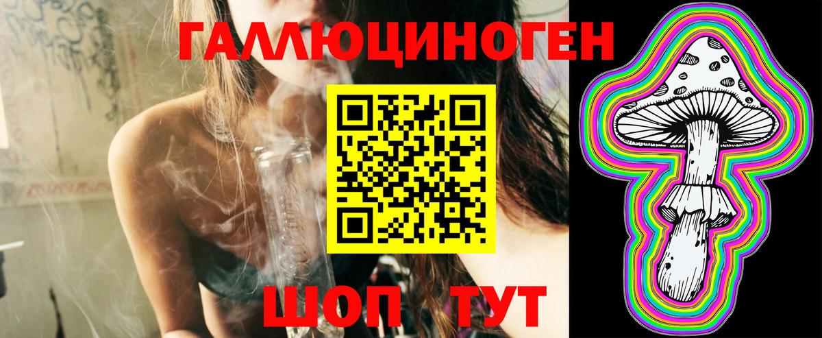 Галлюциногенные грибы Psilocybe  сколько стоит  Волгоград 