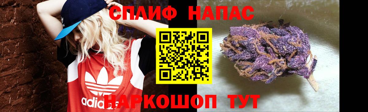 Марихуана семена Волгоград